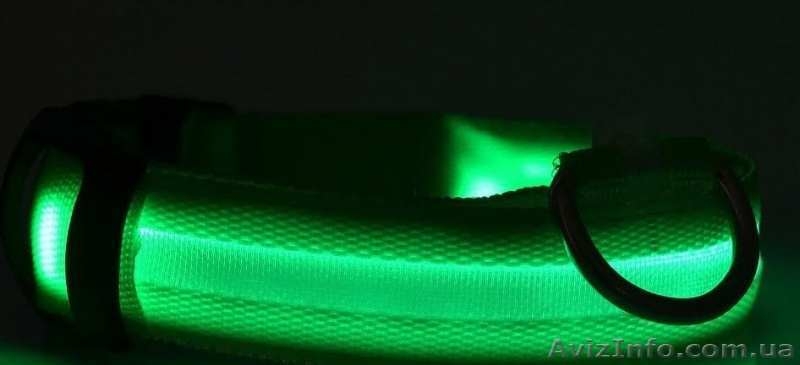Светящиеся ошейники для домашних животных - <ro>Изображение</ro><ru>Изображение</ru> #3, <ru>Объявление</ru> #1326243