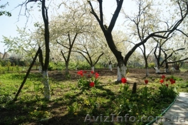 Дом в 3 уровня в Фонтанке-1 с ремонтом и большим участком - <ro>Изображение</ro><ru>Изображение</ru> #4, <ru>Объявление</ru> #1381599