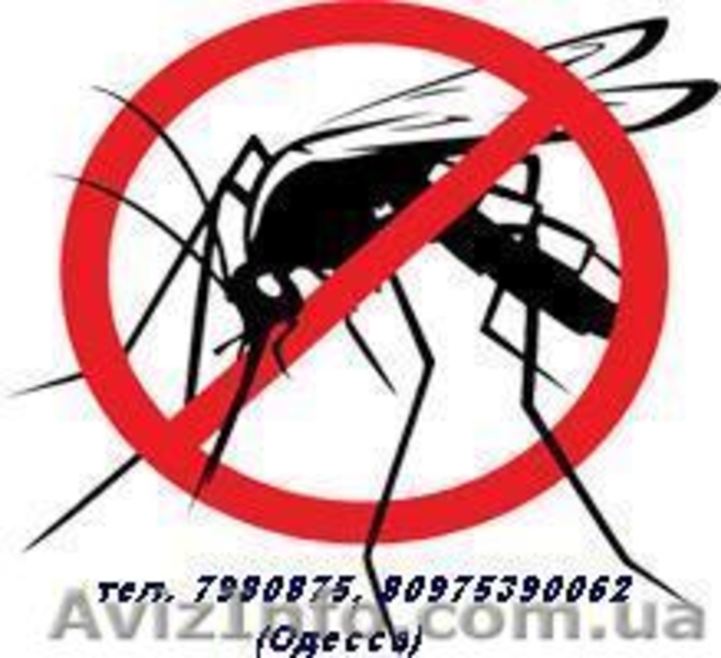 Срочный ремонт окон. Одесса - <ro>Изображение</ro><ru>Изображение</ru> #3, <ru>Объявление</ru> #1380022