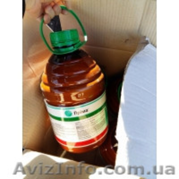 Гербициды,Инсектициды,Фунгициды,Протравители.Средства защиты растений.С/г техник - <ro>Изображение</ro><ru>Изображение</ru> #8, <ru>Объявление</ru> #1429455