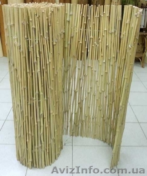 Бамбуковые обои, Бамбуковые заборы, Камышовые заборы и маты, Камыш для утепления - <ro>Изображение</ro><ru>Изображение</ru> #3, <ru>Объявление</ru> #1448787