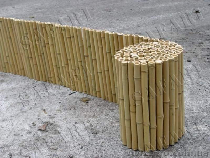 Бамбуковые обои, Бамбуковые заборы, Камышовые заборы и маты, Камыш для утепления - <ro>Изображение</ro><ru>Изображение</ru> #4, <ru>Объявление</ru> #1448787