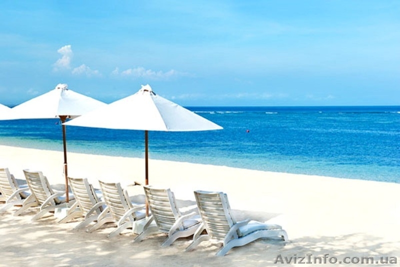 Отдых c  детьми на море.Отель АДАМ И ЕВА.Затока  - <ro>Изображение</ro><ru>Изображение</ru> #6, <ru>Объявление</ru> #712334