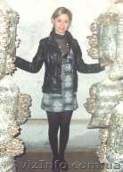 Выращивание грибов у себя дома на даче, на производстве. - <ro>Изображение</ro><ru>Изображение</ru> #5, <ru>Объявление</ru> #1460564