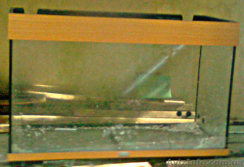 Продается немецкий аквариум на 140 л (стекло) б/у - <ro>Изображение</ro><ru>Изображение</ru> #3, <ru>Объявление</ru> #1465594
