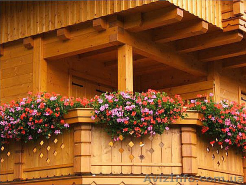 Купить сруб Готовые срубы  деревянных домов - <ro>Изображение</ro><ru>Изображение</ru> #3, <ru>Объявление</ru> #1473084