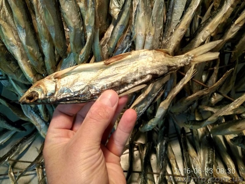 Деликатесная вяленая рыбка - <ro>Изображение</ro><ru>Изображение</ru> #4, <ru>Объявление</ru> #1355850