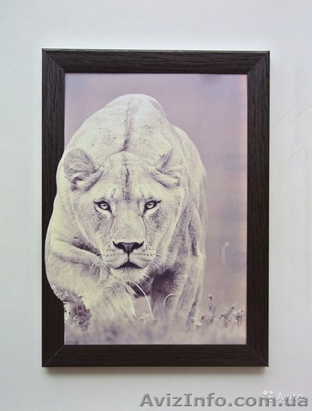 3D Картины+Бонус. Уникальный,Готовый Бизнес Под Ключ. - <ro>Изображение</ro><ru>Изображение</ru> #3, <ru>Объявление</ru> #1501738