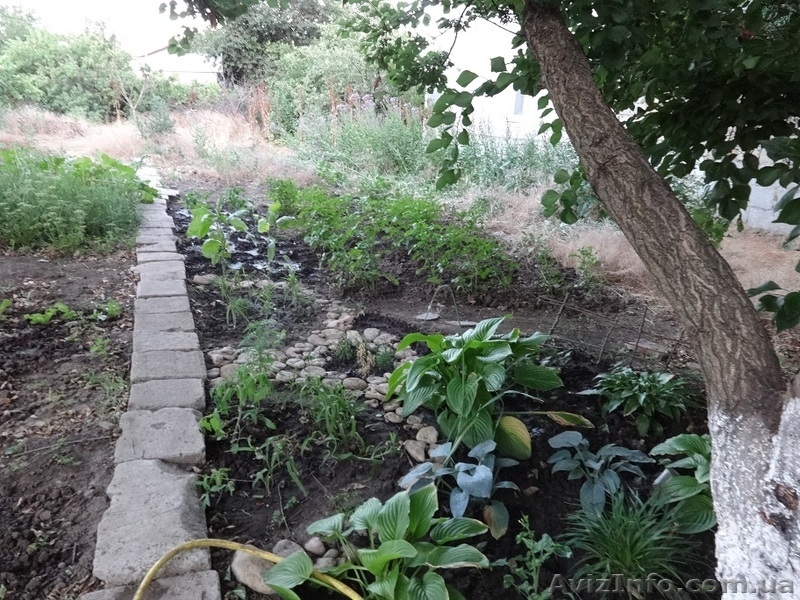 Продам дом в Черноморке, ул. Симоненко - <ro>Изображение</ro><ru>Изображение</ru> #9, <ru>Объявление</ru> #1495174