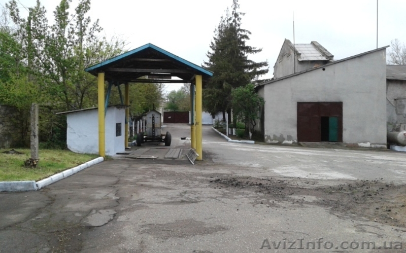 Эксклюзивная продажа территории и производственных зданий в Овидиополе. - <ro>Изображение</ro><ru>Изображение</ru> #6, <ru>Объявление</ru> #1509664