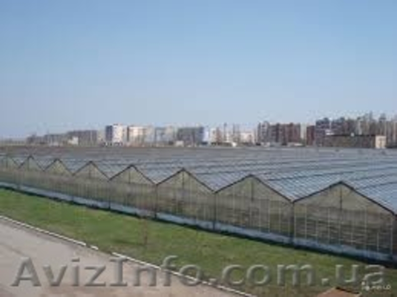 Теплицы арочные Гарантия 10 лет - <ro>Изображение</ro><ru>Изображение</ru> #3, <ru>Объявление</ru> #1510848