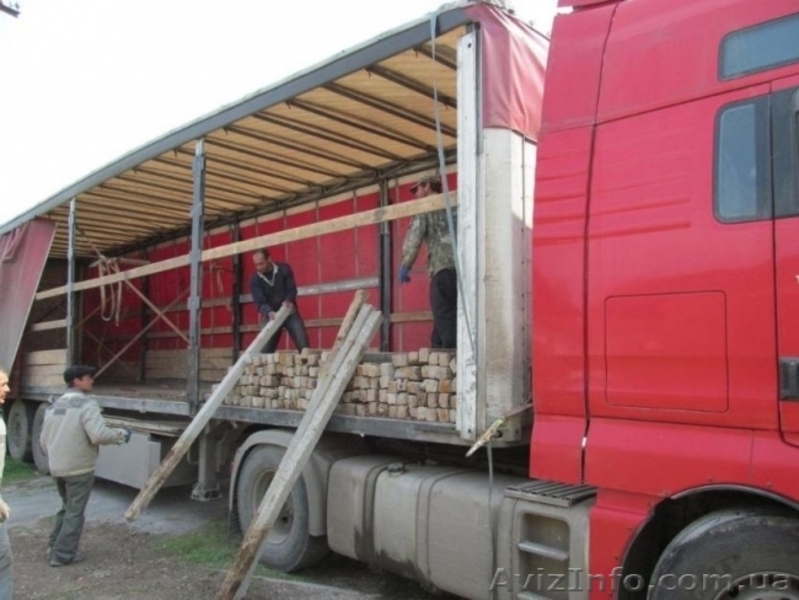 виноградные железобетонные  столбики - <ro>Изображение</ro><ru>Изображение</ru> #6, <ru>Объявление</ru> #1504651