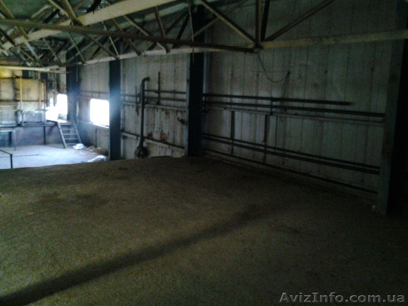 сдам в аренду производственные помещения, склад - <ro>Изображение</ro><ru>Изображение</ru> #7, <ru>Объявление</ru> #821806
