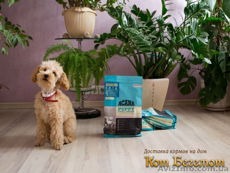 Корма для животных с доставкой по Украине - <ro>Изображение</ro><ru>Изображение</ru> #3, <ru>Объявление</ru> #1529796