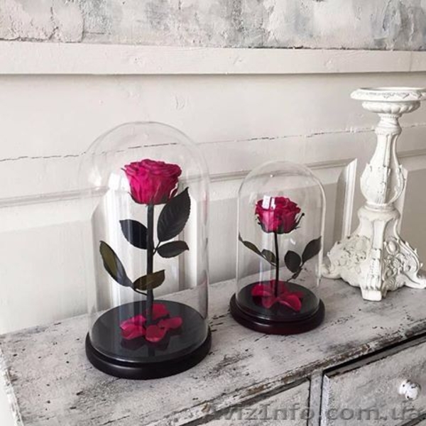 Проснись, скоро праздники! Порадуй свою любимую с помощью розы в колбе, которая  - <ro>Изображение</ro><ru>Изображение</ru> #3, <ru>Объявление</ru> #1533322