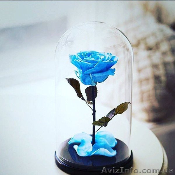 Проснись, скоро праздники! Порадуй свою любимую с помощью розы в колбе, которая  - <ro>Изображение</ro><ru>Изображение</ru> #4, <ru>Объявление</ru> #1533322