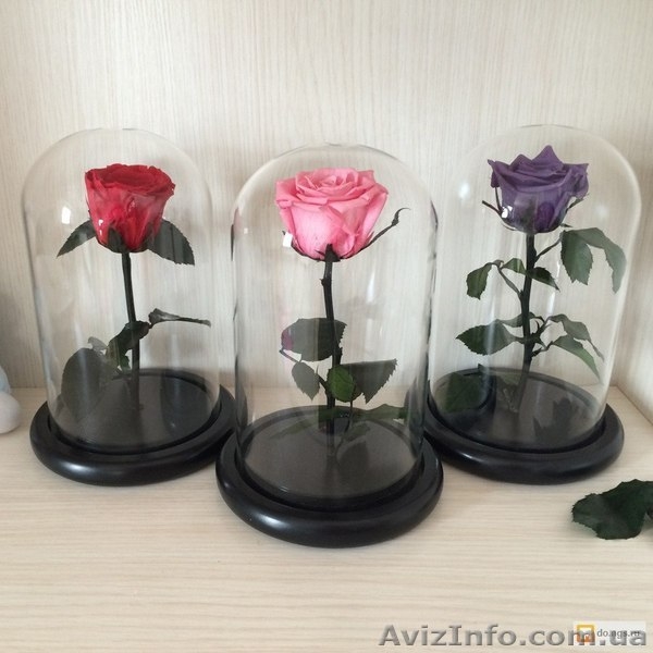 Проснись, скоро праздники! Порадуй свою любимую с помощью розы в колбе, которая  - <ro>Изображение</ro><ru>Изображение</ru> #5, <ru>Объявление</ru> #1533322