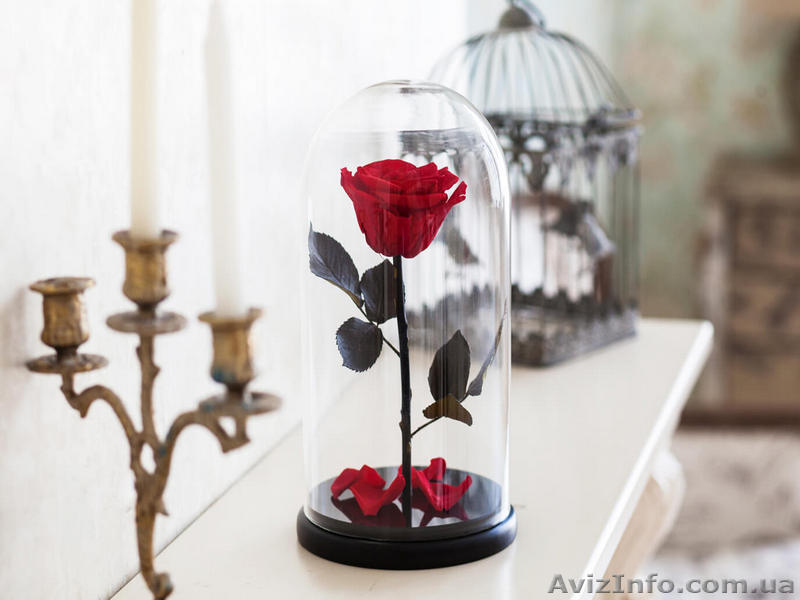 Проснись, скоро праздники! Порадуй свою любимую с помощью розы в колбе, которая  - <ro>Изображение</ro><ru>Изображение</ru> #6, <ru>Объявление</ru> #1533322