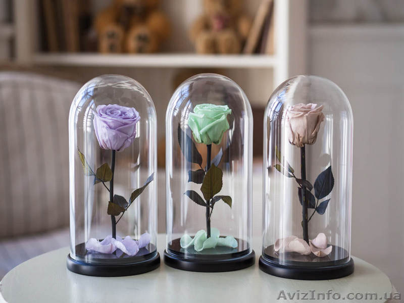 Проснись, скоро праздники! Порадуй свою любимую с помощью розы в колбе, которая  - <ro>Изображение</ro><ru>Изображение</ru> #7, <ru>Объявление</ru> #1533322