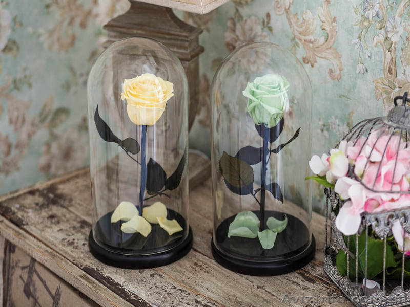 Проснись, скоро праздники! Порадуй свою любимую с помощью розы в колбе, которая  - <ro>Изображение</ro><ru>Изображение</ru> #8, <ru>Объявление</ru> #1533322