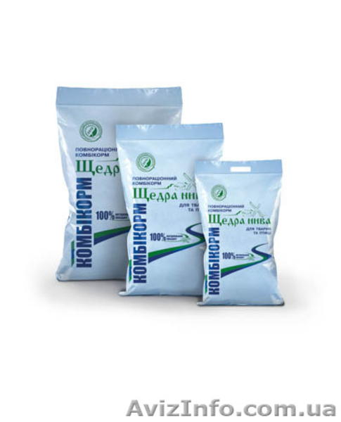 утята голубой фаворит , мулард - <ro>Изображение</ro><ru>Изображение</ru> #3, <ru>Объявление</ru> #1542686