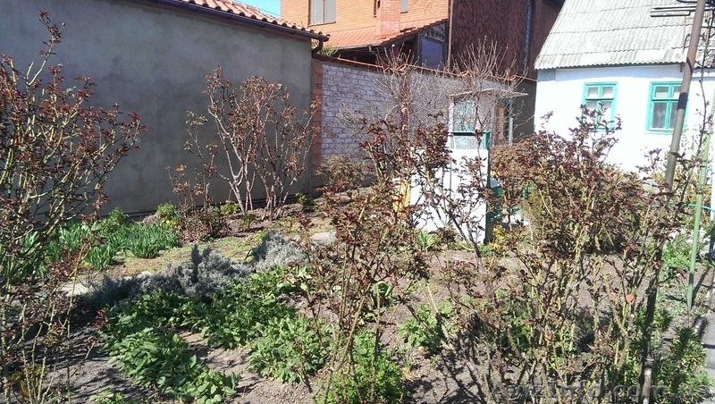 Продам участок 7 соток ул. Ак. Гамалея / Вильямса - <ro>Изображение</ro><ru>Изображение</ru> #3, <ru>Объявление</ru> #1548897