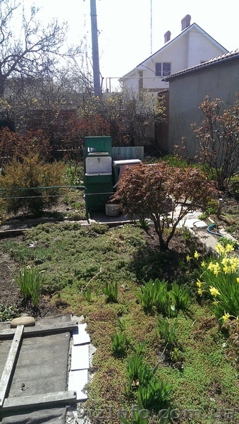 Продам участок 7 соток ул. Ак. Гамалея / Вильямса - <ro>Изображение</ro><ru>Изображение</ru> #4, <ru>Объявление</ru> #1548897