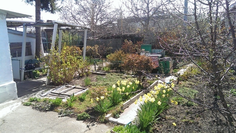 Продам участок 7 соток ул. Ак. Гамалея / Вильямса - <ro>Изображение</ro><ru>Изображение</ru> #5, <ru>Объявление</ru> #1548897