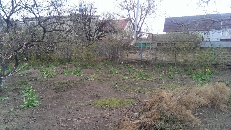 Продам участок 8 соток ул. Долгая / Бабушкина - <ro>Изображение</ro><ru>Изображение</ru> #3, <ru>Объявление</ru> #1551454