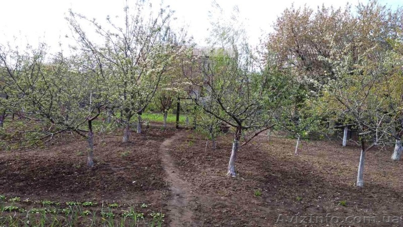 Два дома по цене одного! - <ro>Изображение</ro><ru>Изображение</ru> #6, <ru>Объявление</ru> #1556310