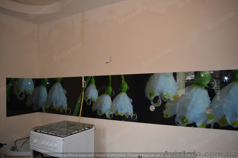 стекло на кухню - <ro>Изображение</ro><ru>Изображение</ru> #7, <ru>Объявление</ru> #1561504