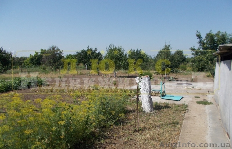 Продам дом Беляевка ул. Карла Маркса - <ro>Изображение</ro><ru>Изображение</ru> #10, <ru>Объявление</ru> #1570169