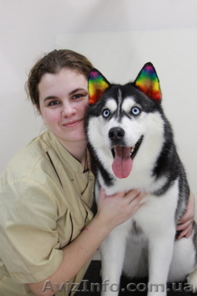 Обучение грумингу. Школа груминга в Одесса - <ro>Изображение</ro><ru>Изображение</ru> #3, <ru>Объявление</ru> #1583184