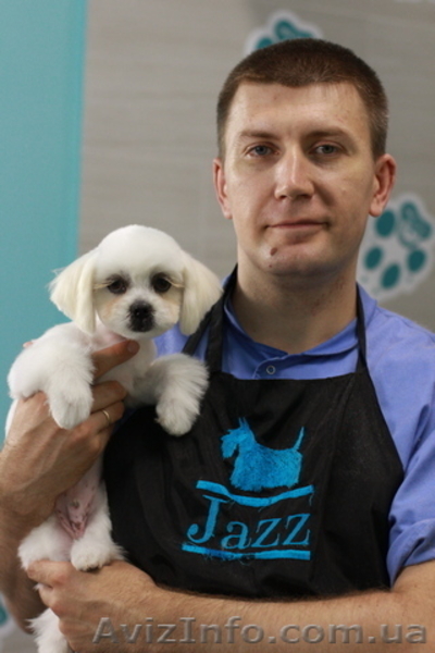 Обучение грумингу. Школа груминга в Одесса - <ro>Изображение</ro><ru>Изображение</ru> #4, <ru>Объявление</ru> #1583184