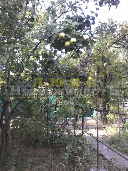 Продам участок Затока / Каролино-Бугаз - <ro>Изображение</ro><ru>Изображение</ru> #4, <ru>Объявление</ru> #1585446