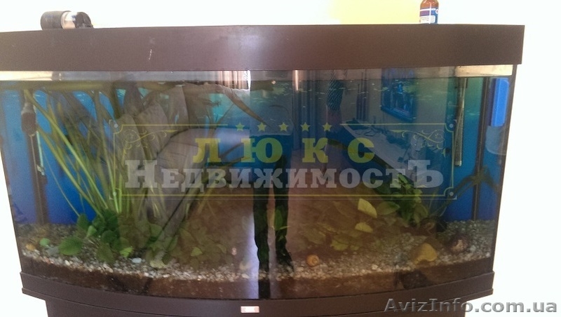 Продам двухкомнатную квартиру ул Бреуса / Кристаловского - <ro>Изображение</ro><ru>Изображение</ru> #6, <ru>Объявление</ru> #1582201