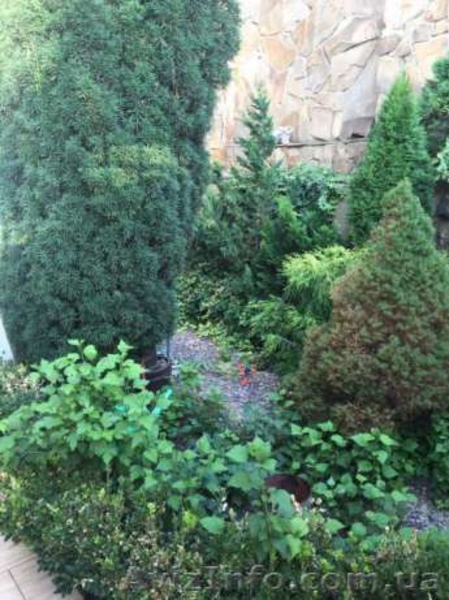 Продам Коттедж в шаговой доступности к морю на Фонтане. - <ro>Изображение</ro><ru>Изображение</ru> #6, <ru>Объявление</ru> #1587577