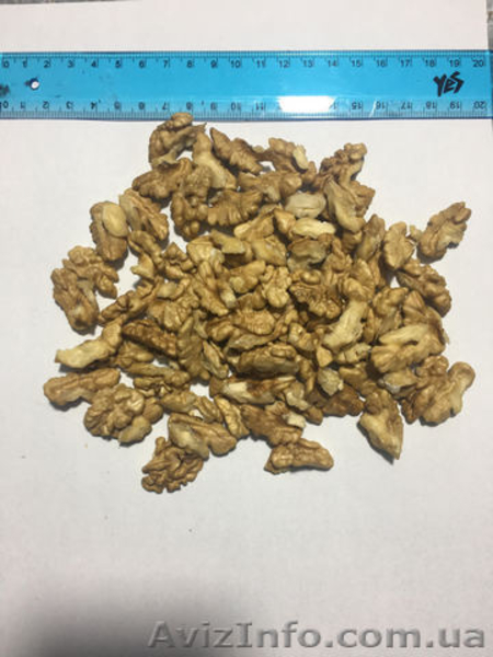 Продам ядро грецкого ореха (бабочка и 1/4) - <ro>Изображение</ro><ru>Изображение</ru> #4, <ru>Объявление</ru> #1593817