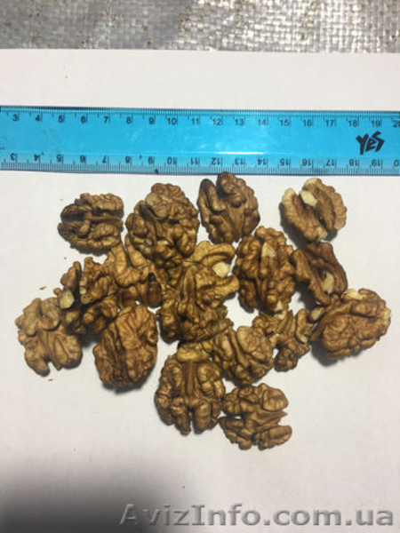 Продам ядро грецкого ореха (бабочка и 1/4) - <ro>Изображение</ro><ru>Изображение</ru> #3, <ru>Объявление</ru> #1593817