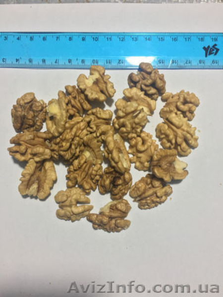 Продам ядро грецкого ореха (бабочка и 1/4) - <ro>Изображение</ro><ru>Изображение</ru> #6, <ru>Объявление</ru> #1593817