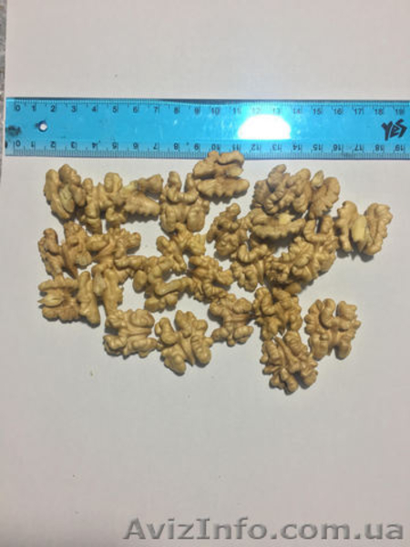 Продам ядро грецкого ореха (бабочка и 1/4) - <ro>Изображение</ro><ru>Изображение</ru> #8, <ru>Объявление</ru> #1593817