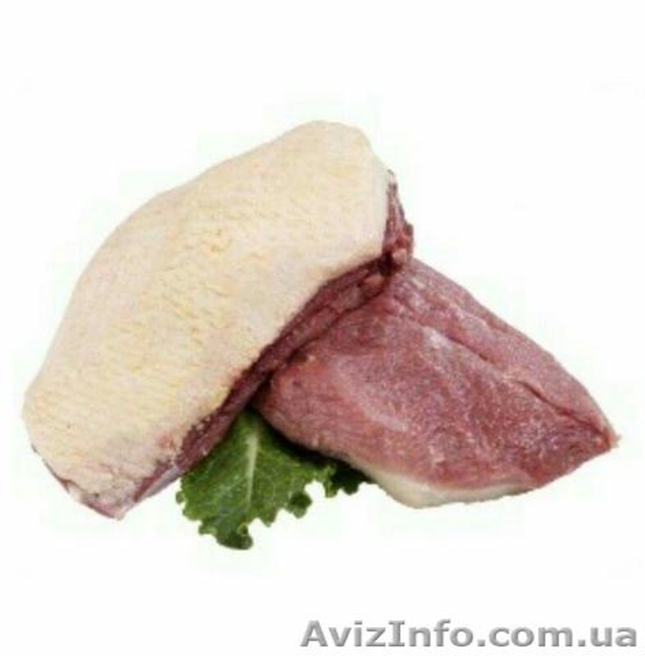 Мясо птицы с доставкой по Одессе - <ro>Изображение</ro><ru>Изображение</ru> #4, <ru>Объявление</ru> #1604061