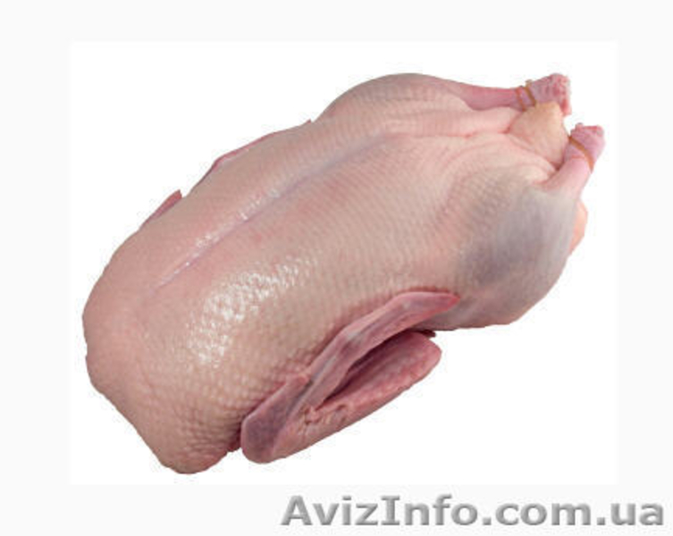 Мясо птицы с доставкой по Одессе - <ro>Изображение</ro><ru>Изображение</ru> #5, <ru>Объявление</ru> #1604061