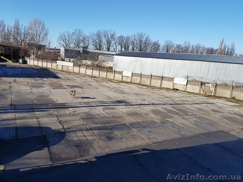 Сдам склад в долгосрочную аренду в районе 6го км Овидиопольской дороги. - <ro>Изображение</ro><ru>Изображение</ru> #6, <ru>Объявление</ru> #1606639