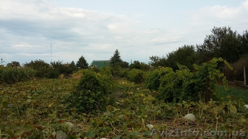 Продам дом плюс 25 соток с.Приморское - <ro>Изображение</ro><ru>Изображение</ru> #3, <ru>Объявление</ru> #1617586