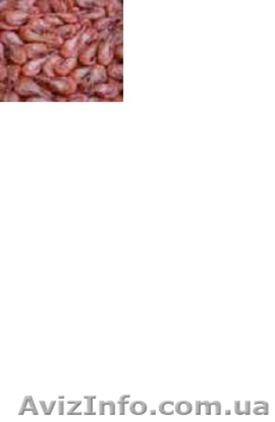 Пр0дам черн0морскую креветку - <ro>Изображение</ro><ru>Изображение</ru> #3, <ru>Объявление</ru> #1615246