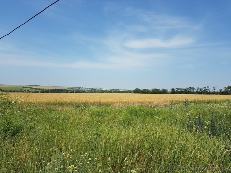 Продажа предприятия плодовоовощной базы в Овидиопольском районе. - <ro>Изображение</ro><ru>Изображение</ru> #10, <ru>Объявление</ru> #1623990