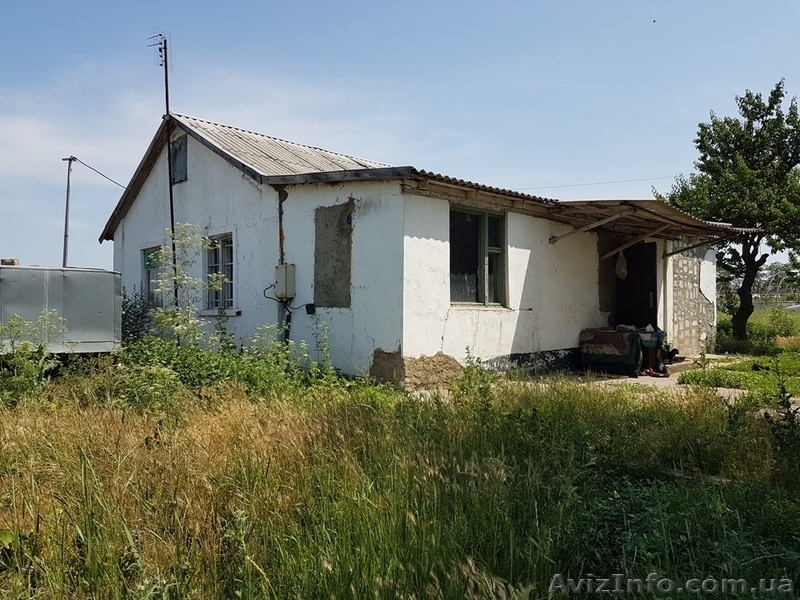 Продажа предприятия плодовоовощной базы в Овидиопольском районе. - <ro>Изображение</ro><ru>Изображение</ru> #3, <ru>Объявление</ru> #1623990