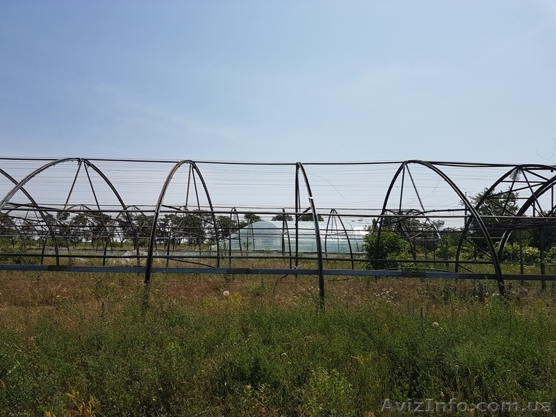 Продажа предприятия плодовоовощной базы в Овидиопольском районе. - <ro>Изображение</ro><ru>Изображение</ru> #4, <ru>Объявление</ru> #1623990