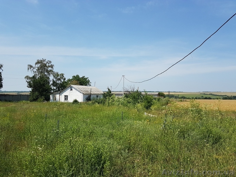 Продажа предприятия плодовоовощной базы в Овидиопольском районе. - <ro>Изображение</ro><ru>Изображение</ru> #5, <ru>Объявление</ru> #1623990